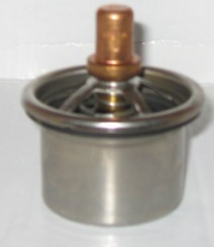 Thermostat 170 F resmi