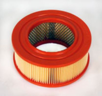Picture of Air Filter