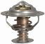 Thermostat 170 F resmi