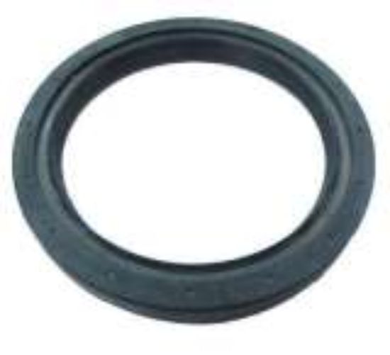 Picture of Oil Seal