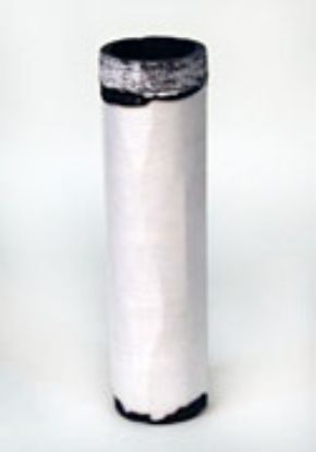 Picture of Air Filter, Secondary