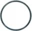Picture of Ring Gear, Flywheel