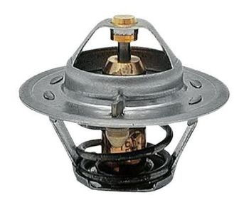 Thermostat resmi