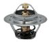 Thermostat resmi