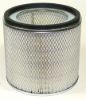 Picture of Air Filter, Primary