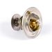 Thermostat resmi