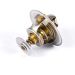 Thermostat resmi