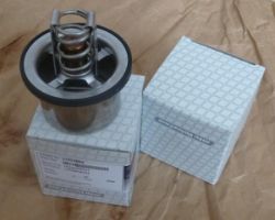 Thermostat resmi