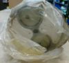 Picture of FILTER GP-OIL