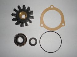 Minor Repair Kit, Water Pump resmi