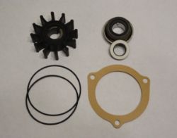 Minor Repair Kit, Water Pump resmi