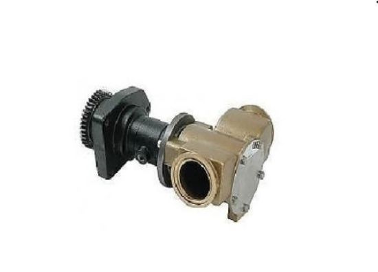 Picture of Raw Water Pump