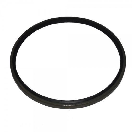 Picture of Seal Lip Type