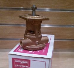 Water Pump resmi