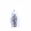 Picture of Spark Plug