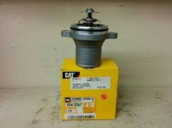 Thermostat resmi