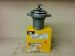 Thermostat resmi