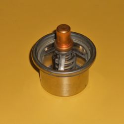 Thermostat resmi