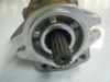 Picture of Hydraulic Pump