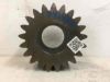 Picture of GEAR SUN