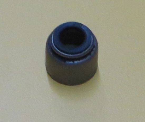 Picture of SEAL Valve