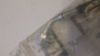 Picture of Hose As