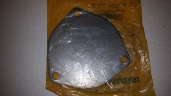 Picture of PLATE