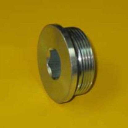 Picture of PLUG