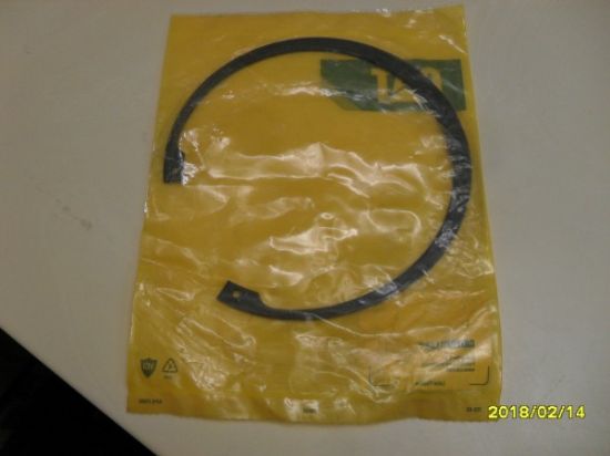 Picture of RING