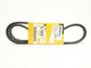 Picture of V-BELT (ALTERNATOR)