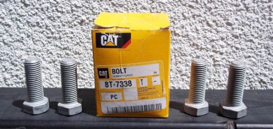 Picture of Bolt