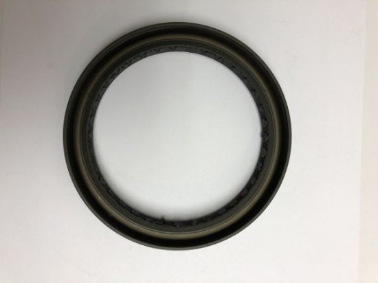 Picture of SEAL