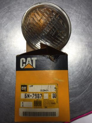 Picture of LAMP