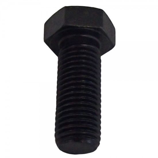 Picture of BOLT