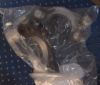 Picture of RETAINER