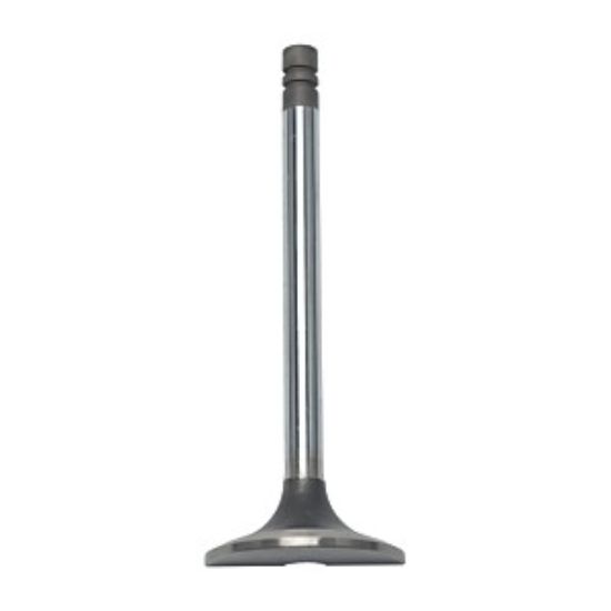 Picture of VALVE-EXHAUST