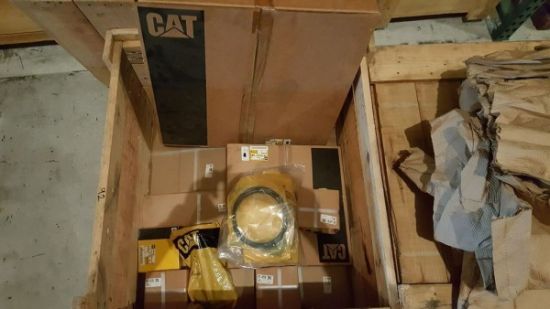 Picture of KIT - DT BEARING