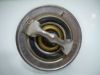 Picture of THERMOSTAT