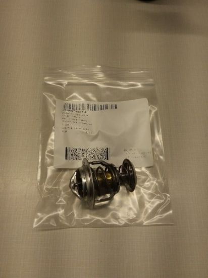 Picture of THERMOSTAT