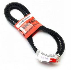 Belt, Alternator resmi