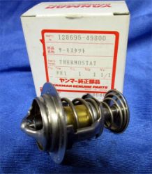 THERMOSTAT resmi