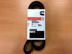 V Belt Ribbed resmi