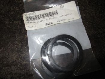 SEAL RING,THERMOSTAT,FITS 35-15701 resmi