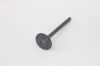 Picture of VALVE,EXHAUST,M773L/844L,