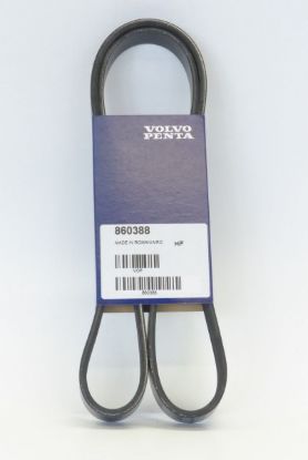 Picture of Belt