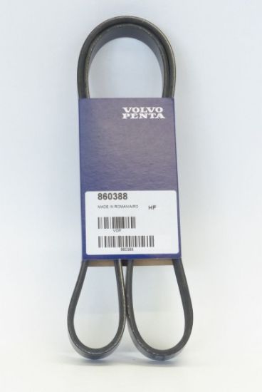 Picture of Belt