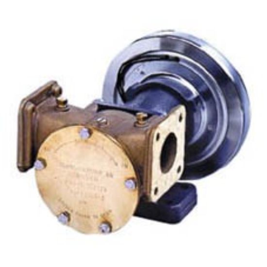 Picture of Sea Water Pump