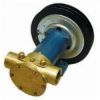 Picture of Sea Water Pump