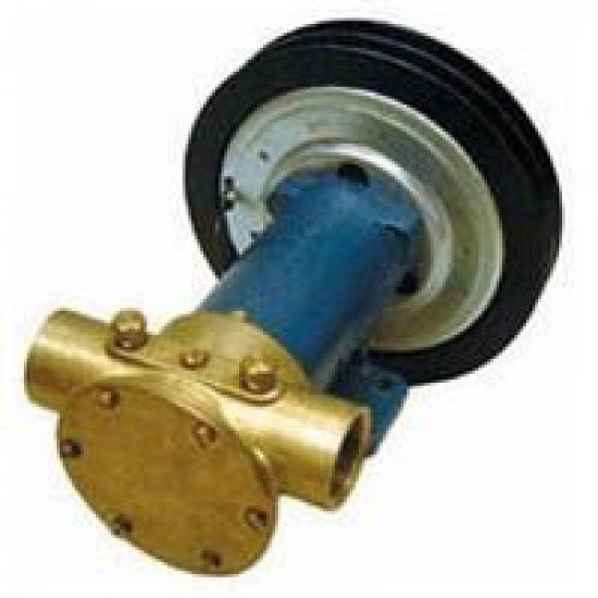 Picture of Sea Water Pump