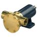 Sea Water Pump resmi